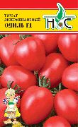 фото Одиль f1 помидоры и томаты
