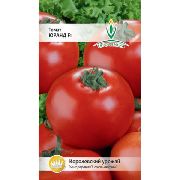 фото Юранд F1 помидоры и томаты