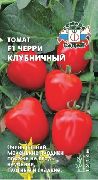 фото Черри Клубничный F1 помидоры и томаты