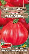 фото Гармошка помидоры и томаты
