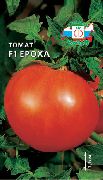 фото Ероха F1 помидоры и томаты