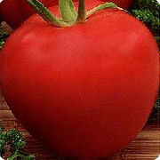 фото Настюша помидоры и томаты
