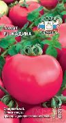 фото Жадина F1 помидоры и томаты