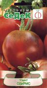 фото Озирис помидоры и томаты