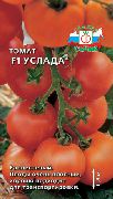 фото Услада F1 помидоры и томаты