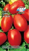 фото Царь полей помидоры и томаты
