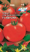 фото Аврора F1 помидоры и томаты
