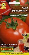 фото Везунчик F1 помидоры и томаты