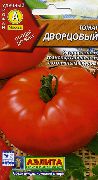 фото Дворцовый помидоры и томаты