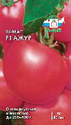 фото Ажур F1 помидоры и томаты