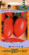 фото Калифорния помидоры и томаты