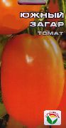 фото Южный загар помидоры и томаты