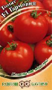 фото Гармония F1 помидоры и томаты