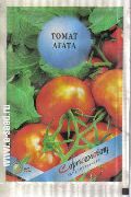 фото Агата помидоры и томаты