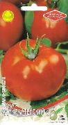 фото Адмиралтейский помидоры и томаты