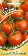 фото Гамаюн F1 помидоры и томаты