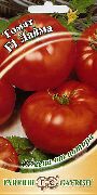 фото Лайма F1  помидоры и томаты