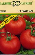фото Радонеж F1 помидоры и томаты