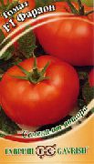 фото Фараон F1 помидоры и томаты