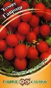фото Гаврош помидоры и томаты