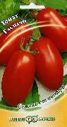 фото Гаспачо помидоры и томаты