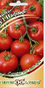 фото Нафаня F1 помидоры и томаты