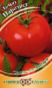 фото Пародист помидоры и томаты