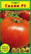 фото Садин F1  помидоры и томаты