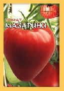 фото Мазарини помидоры и томаты