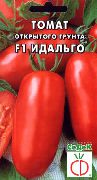 фото Идальго F1 помидоры и томаты