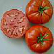 фото Лайф F1 помидоры и томаты