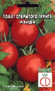 фото Изида помидоры и томаты