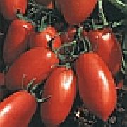 фото Калрома F1 помидоры и томаты