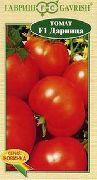 фото Дарница F1 помидоры и томаты