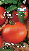 фото Айсберг помидоры и томаты