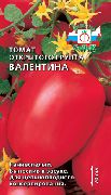 фото Валентина помидоры и томаты
