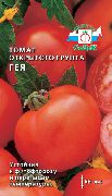 фото Гея помидоры и томаты