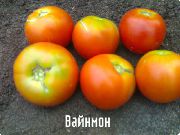 фото Вайнмон плюс  помидоры и томаты