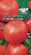 фото Огни Москвы помидоры и томаты