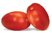 фото Калиста  помидоры и томаты