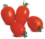 фото Галилея F1 помидоры и томаты
