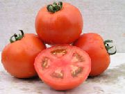 фото Ламантин F1 помидоры и томаты