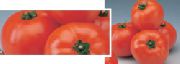 фото Эрато F1 помидоры и томаты