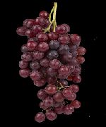 фото Олимпийский виноград