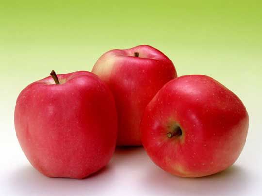 яблоки Розовое превосходное фото, описание и характеристики, саженцы