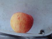 фото Оранжевое  яблоки