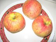 фото Осеннее полосатое (Штрейфлинг, Штрифель) яблоки