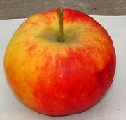 фото Алтайское румяное яблоки