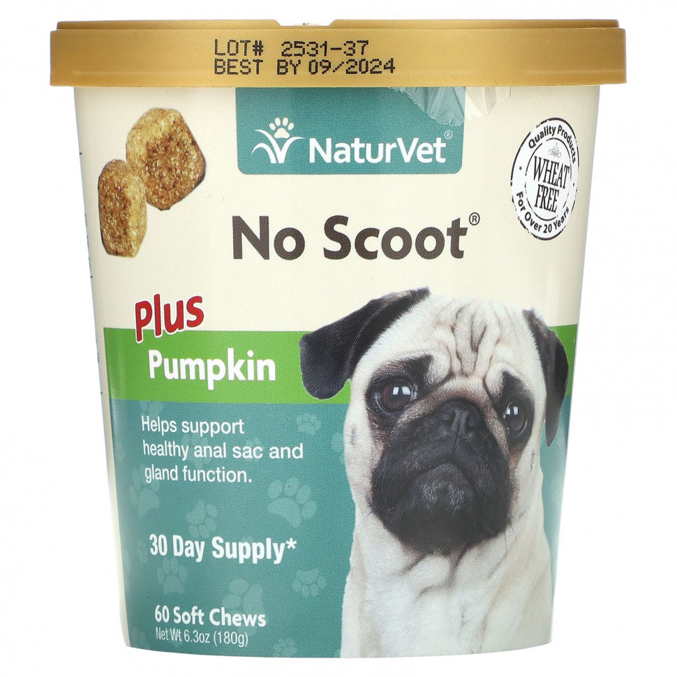   (Iherb) NaturVet, No Scoot,  ,  , 60  , 180  (6,3 )    -     , -, 