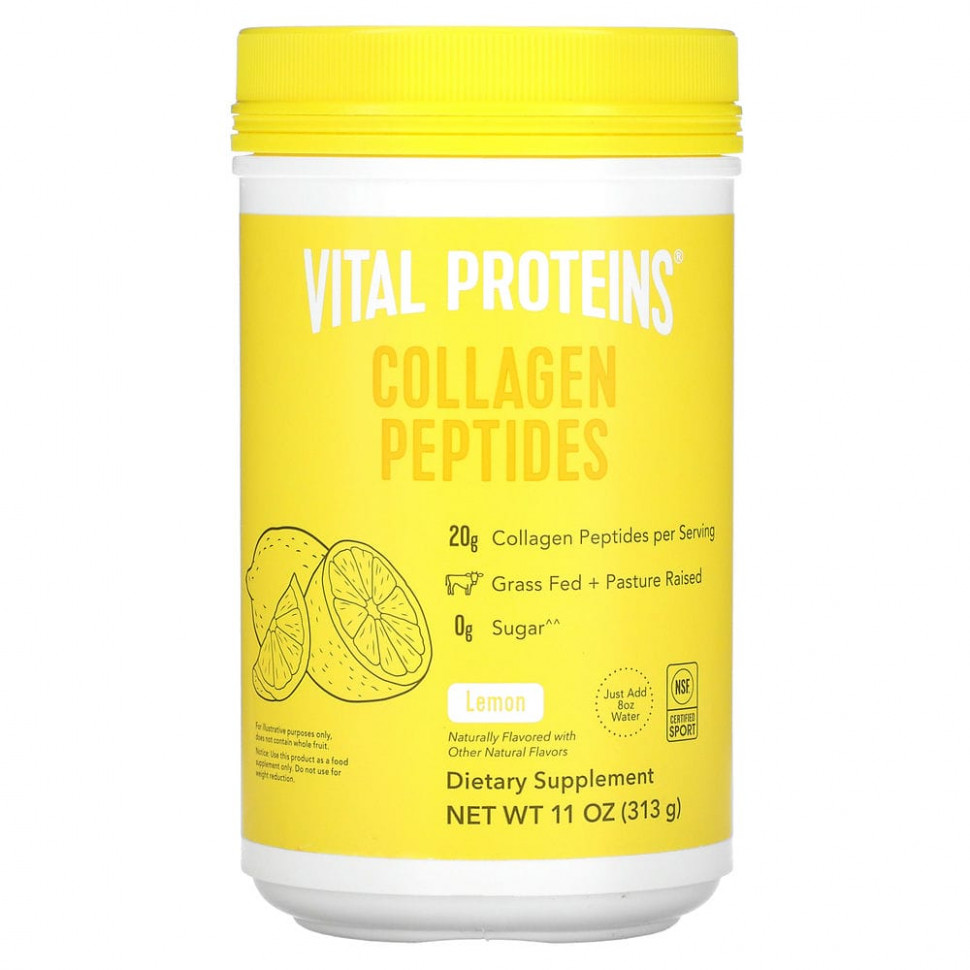   (Iherb) Vital Proteins,  , , 313  (11 )    -     , -, 